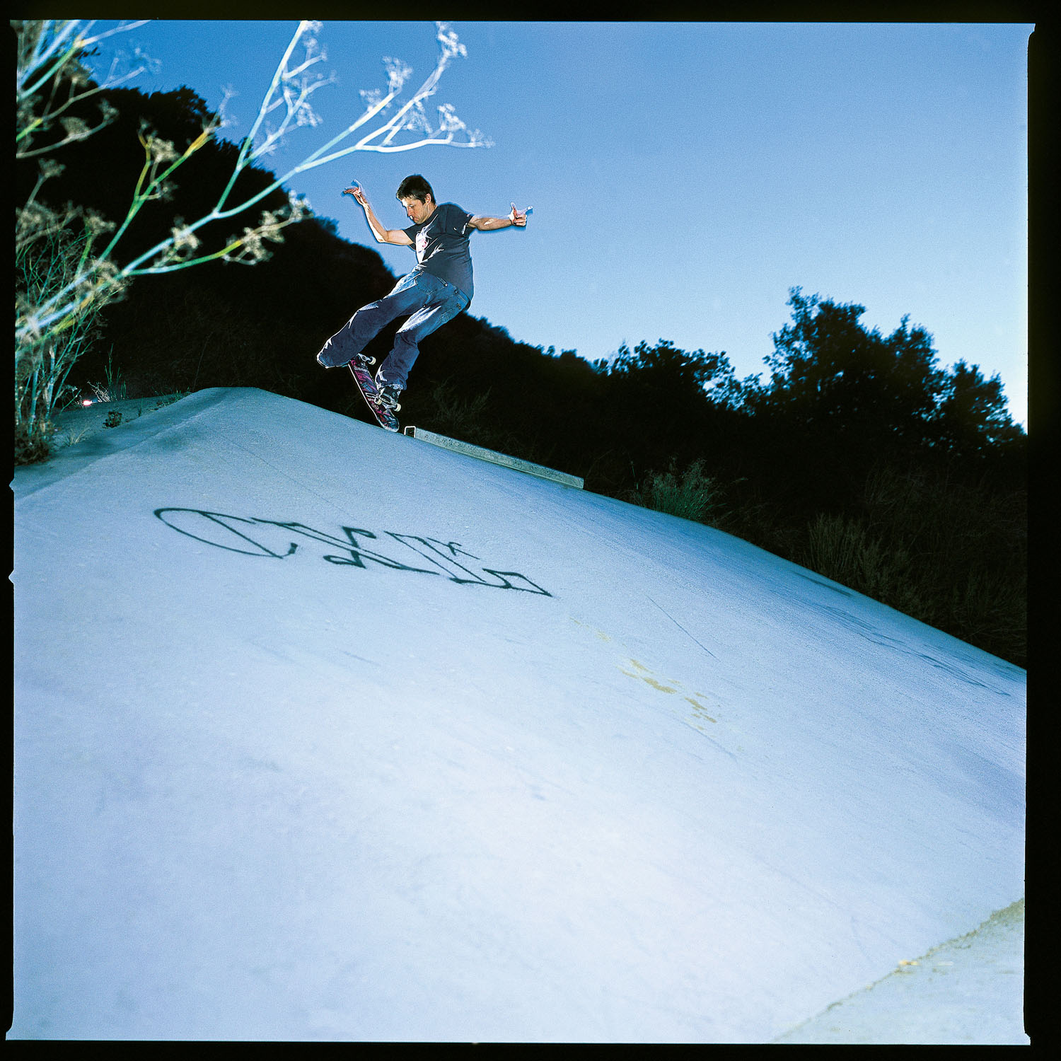 Rodney Mullen